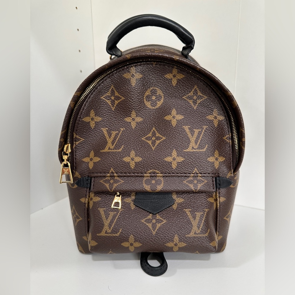 LOUIS VUITTON PALM SPRINGS MINI
